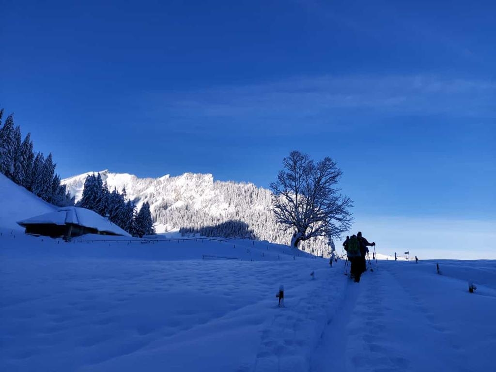 02_16. Jan 21_SAC Schneeschuhtour Schwarzsee (110).jpg